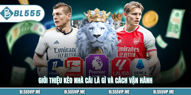 Giới thiệu kèo nhà cái là gì và cách vận hành